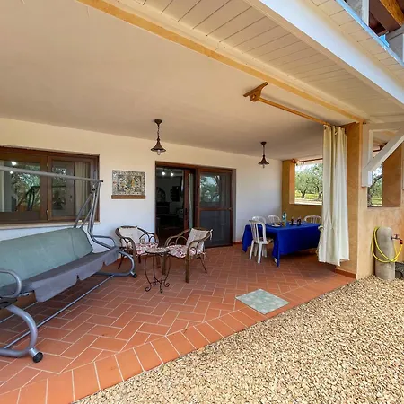 Rustico Degli Ulivi Apartamento *