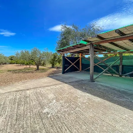 Rustico Degli Ulivi דירה