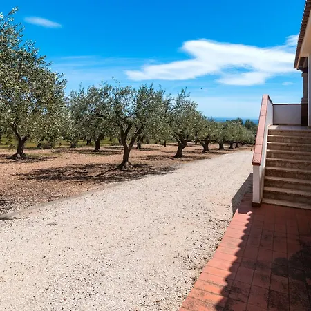 Rustico Degli Ulivi אורוסיי