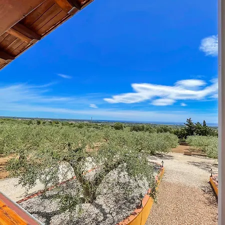 Rustico Degli Ulivi Apartamento *