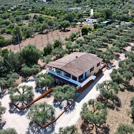 Rustico Degli Ulivi * אורוסיי