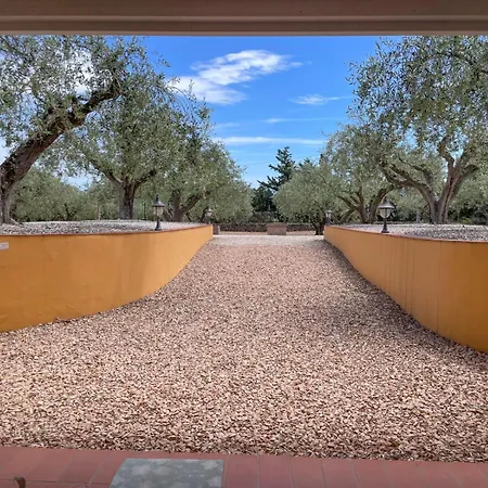 Rustico Degli Ulivi * אורוסיי