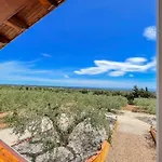 Rustico Degli Ulivi 公寓 *