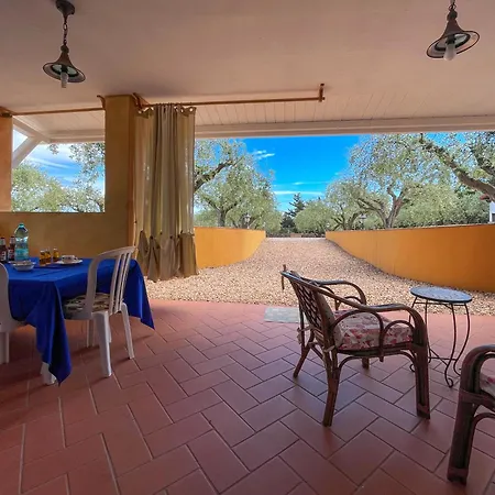 Rustico Degli Ulivi Apartment