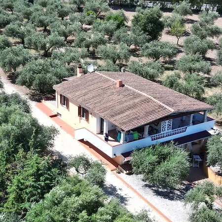 Rustico Degli Ulivi Lägenhet *